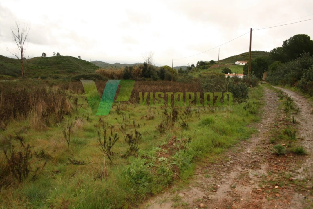 Terreno para Venda em Mexilhoeira Grande Foto 8