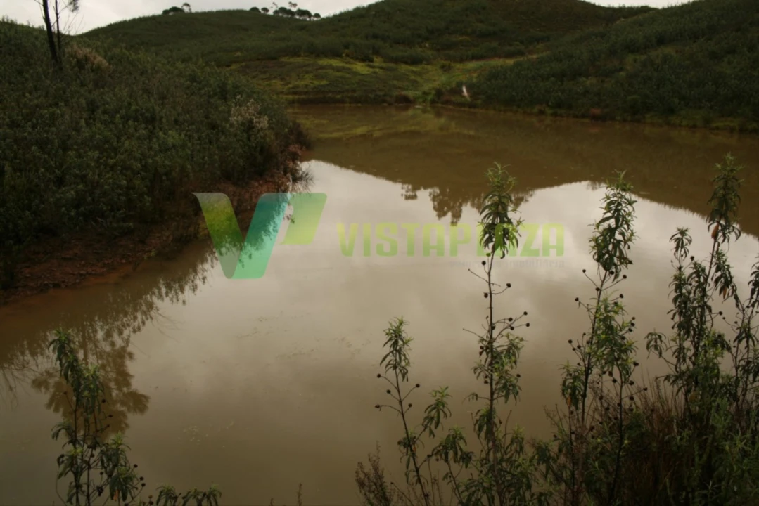 Terreno para Venda em Mexilhoeira Grande Foto 9