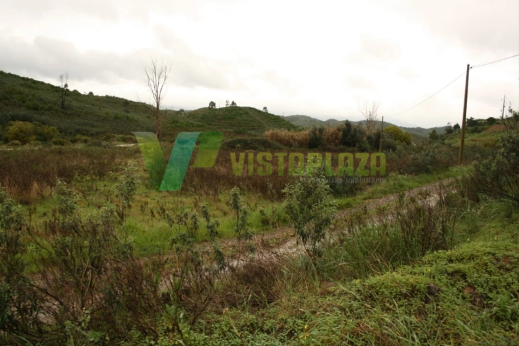 Terreno para Venda em Mexilhoeira Grande Foto 7