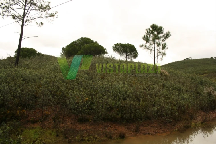 Terreno para Venda em Mexilhoeira Grande Foto 10