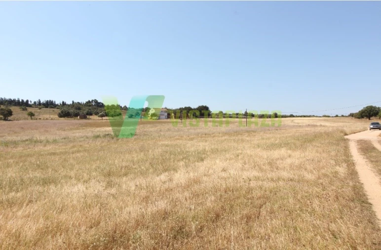 Terreno Misto para Venda em Odiaxere Foto 5