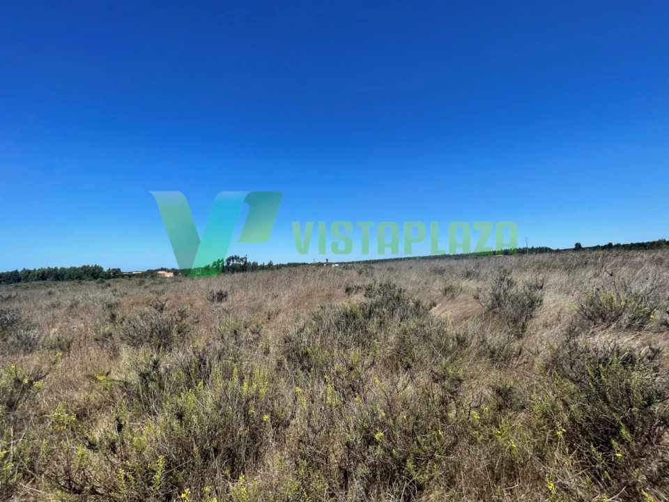 Terreno Misto para Venda em São Teotónio Foto 14