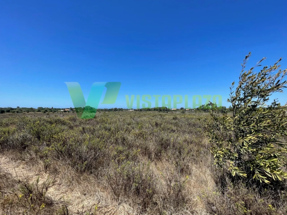 Terreno Misto para Venda em São Teotónio Foto 20