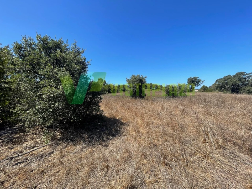 Terreno Misto para Venda em São Teotónio Foto 22