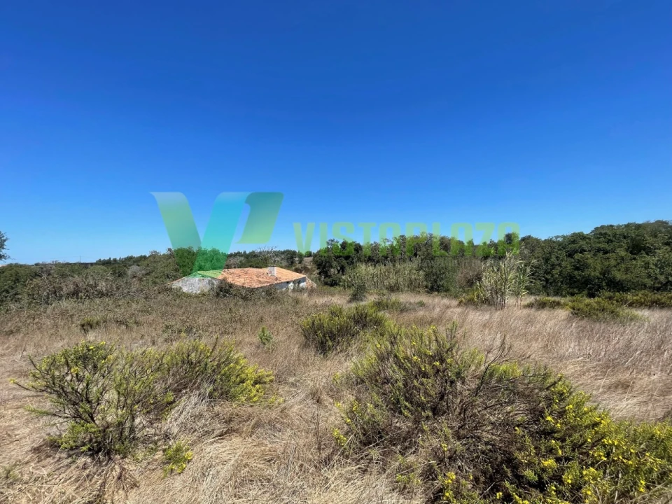 Terreno Misto para Venda em São Teotónio Foto 24