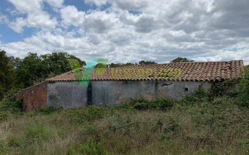 Terreno Misto para Venda em São Teotónio Foto 4