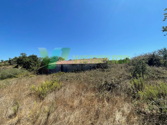 Terreno Misto para Venda em São Teotónio Foto 2