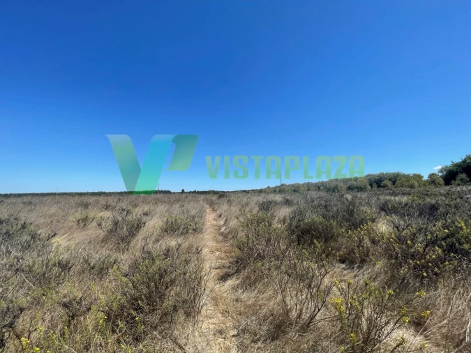 Terreno Misto para Venda em São Teotónio Foto 16