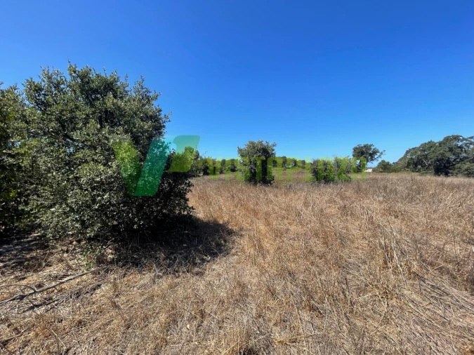 Terreno Misto para Venda em São Teotónio Foto 22
