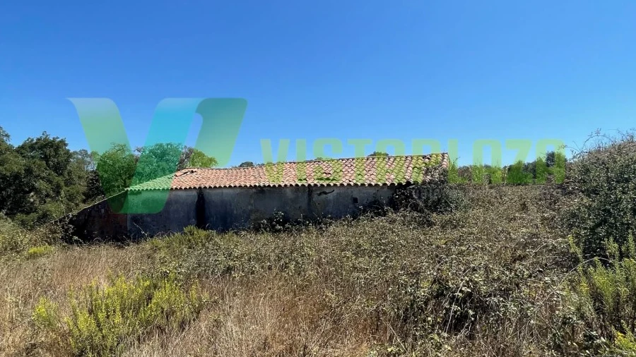 Terreno Misto para Venda em São Teotónio
