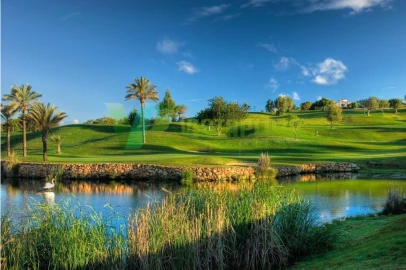 Apartamento T1 para Venda em Estômbar e Parchal