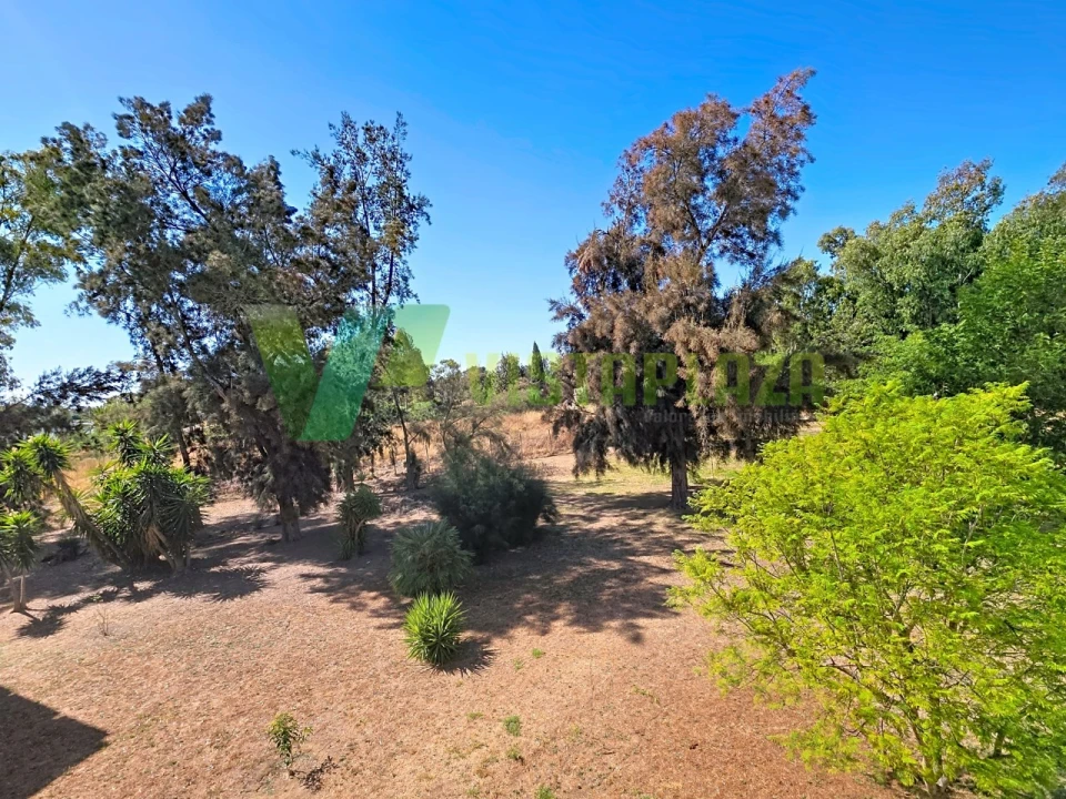 Apartamento T3 para Venda em Alvor Foto 18