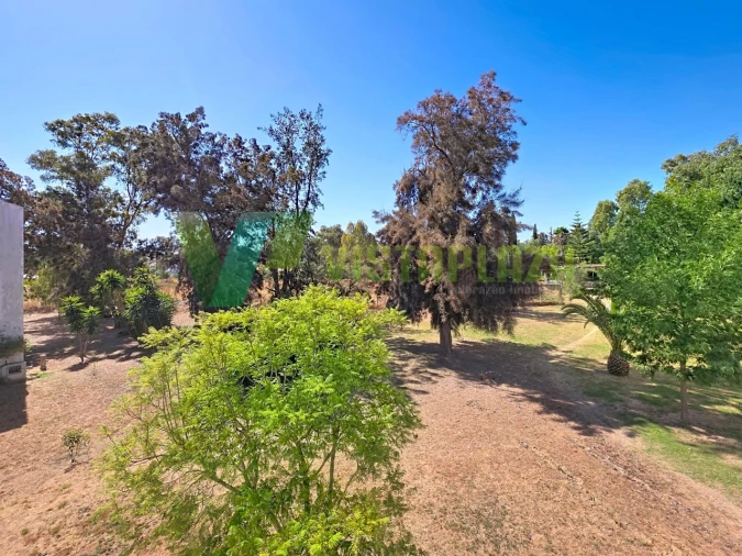 Apartamento T3 para Venda em Alvor Foto 8