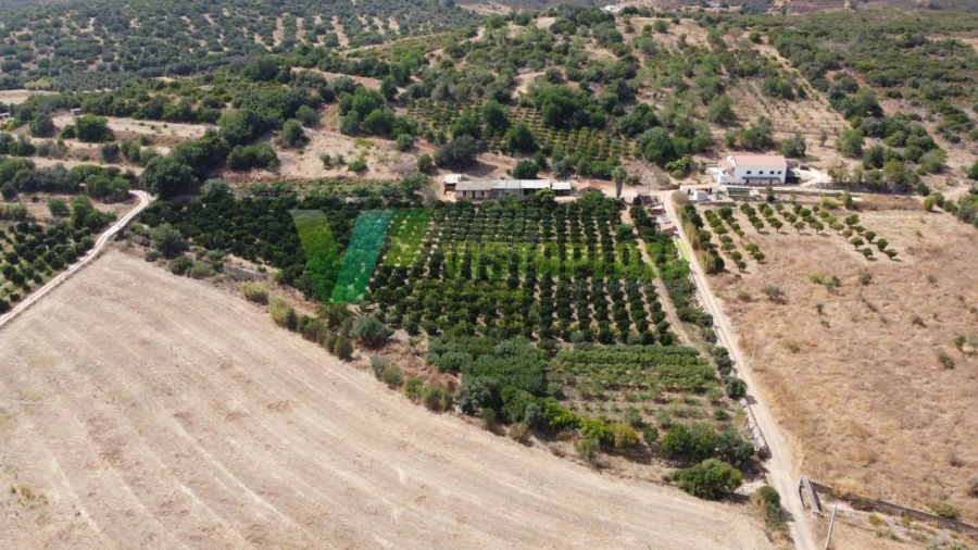 Terreno Misto para Venda em Mexilhoeira Grande Foto 3