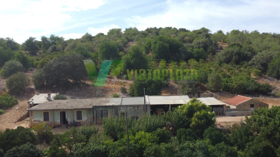 Terreno Misto para Venda em Mexilhoeira Grande Foto 13