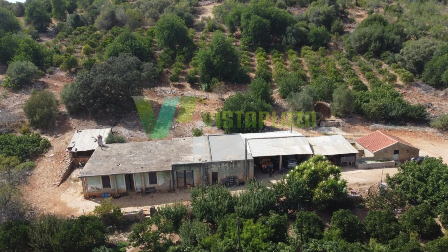 Terreno Misto para Venda em Mexilhoeira Grande Foto 16