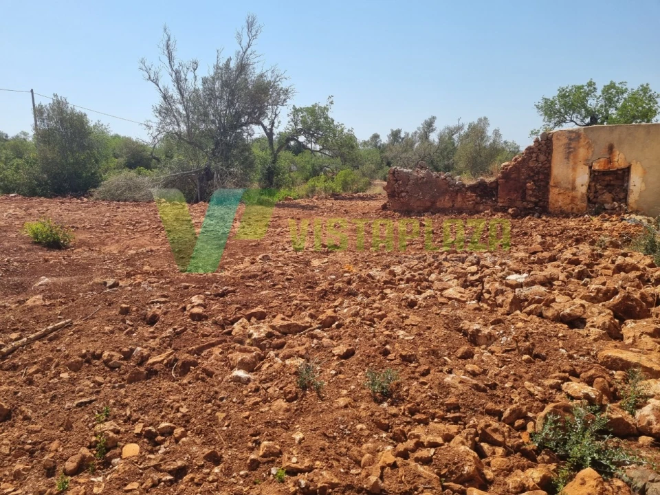 Terreno para Venda em São Bartolomeu de Messines Foto 3