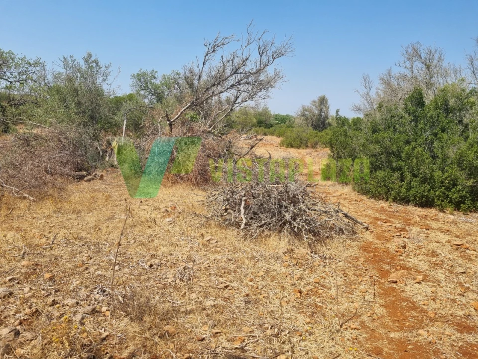 Terreno para Venda em São Bartolomeu de Messines Foto 12