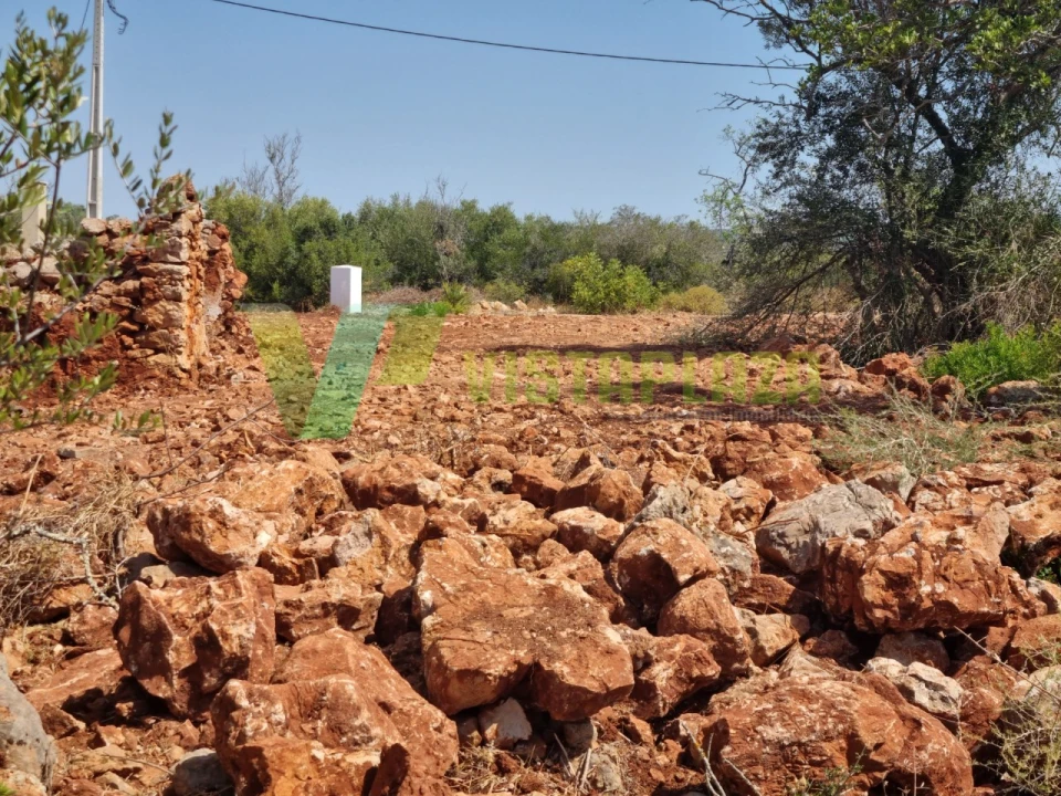 Terreno para Venda em São Bartolomeu de Messines Foto 14