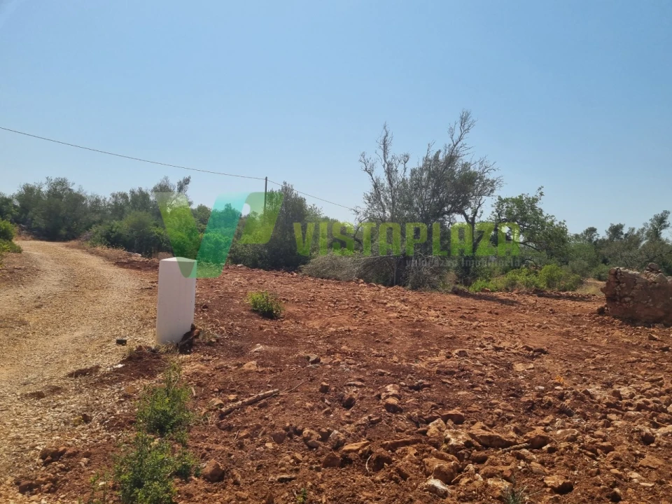 Terreno para Venda em São Bartolomeu de Messines Foto 22