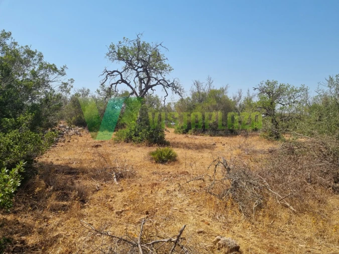 Terreno para Venda em São Bartolomeu de Messines Foto 13