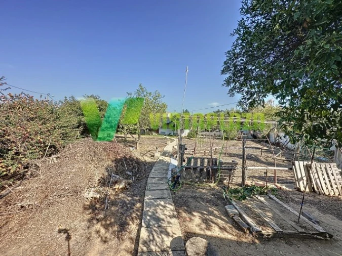 Moradia T1 para Venda em Mexilhoeira Grande Foto 19