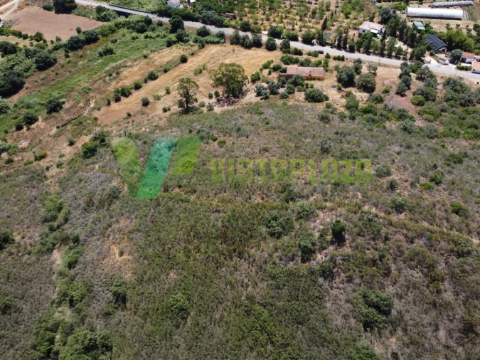 Quinta T6 para Venda em Silves Foto 7