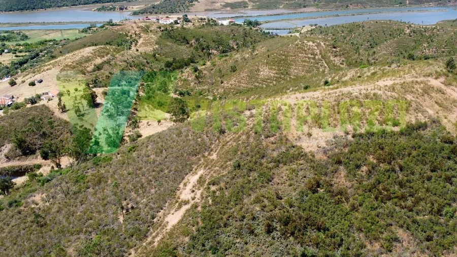 Quinta T6 para Venda em Silves