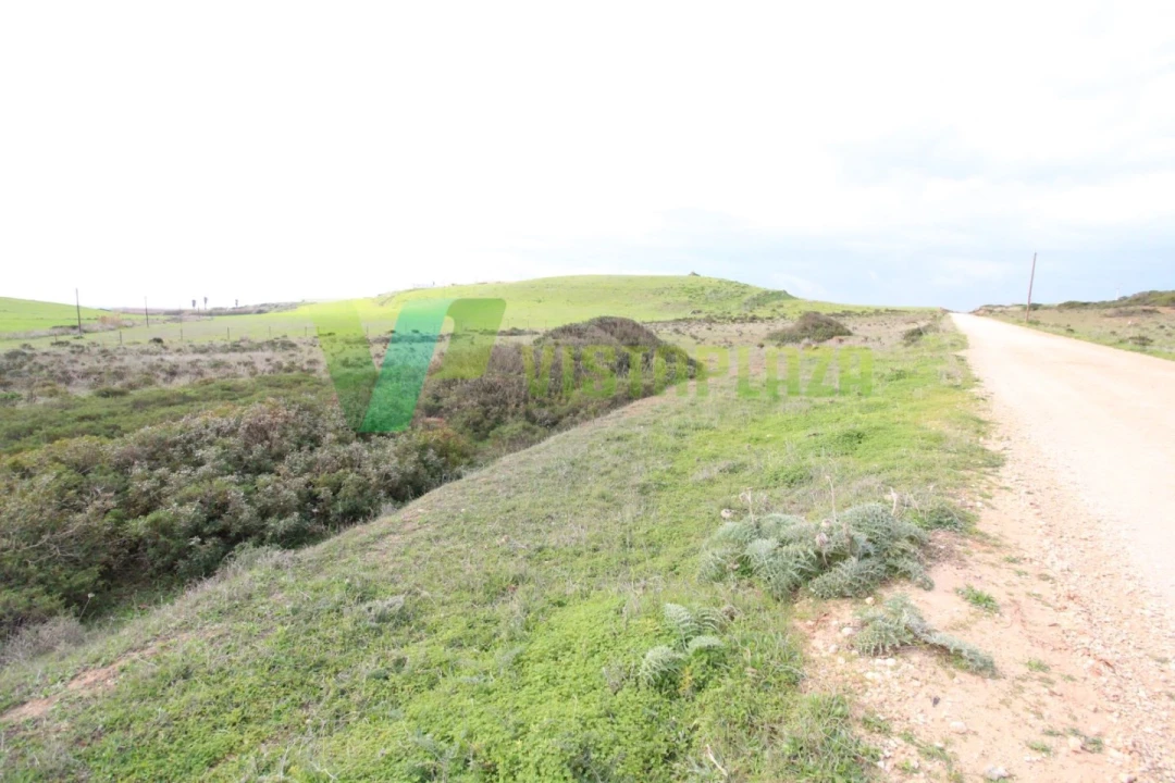 Terreno Agricola ou Rústico para Venda em Vila do Bispo e Raposeira Foto 3