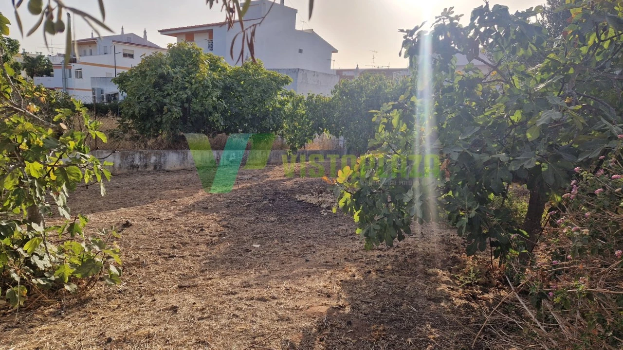 Terreno para Venda em Montenegro Foto 2
