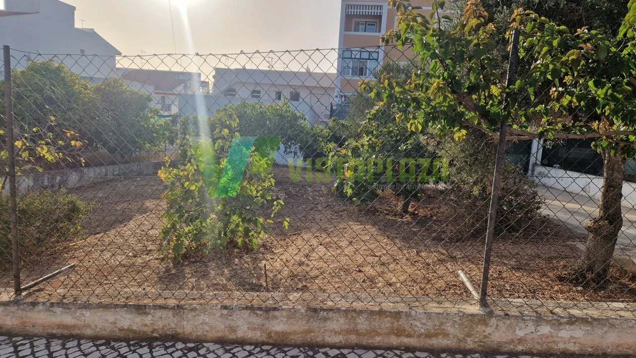 Terreno para Venda em Montenegro Foto 5