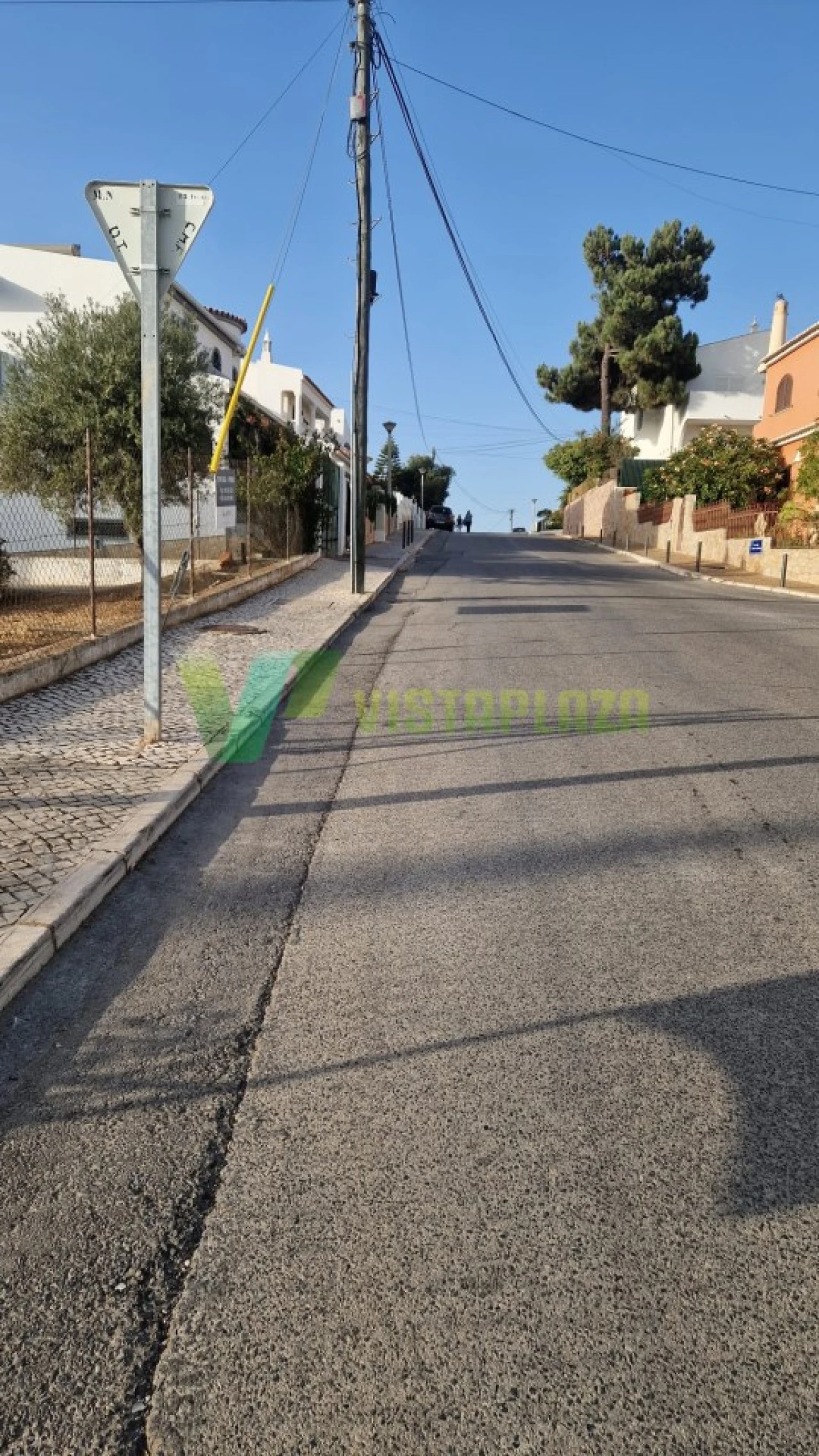 Terreno para Venda em Montenegro Foto 6