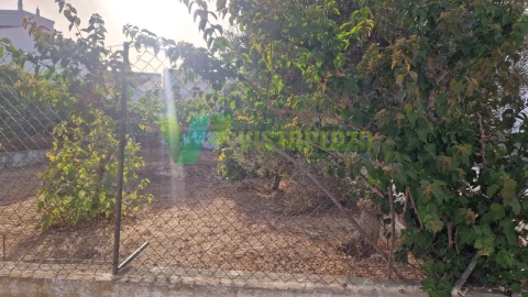 Terreno para Venda em Montenegro