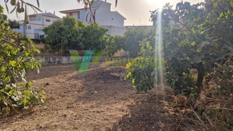 Terreno para Venda em Montenegro