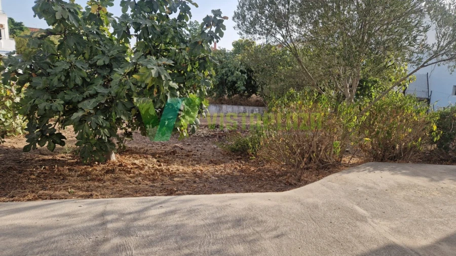Terreno para Venda em Montenegro Foto 3