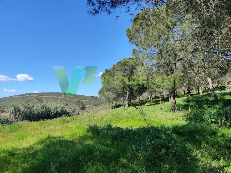 Terreno Agricola ou Rústico para Venda em Bensafrim e Barão de São João Foto 1