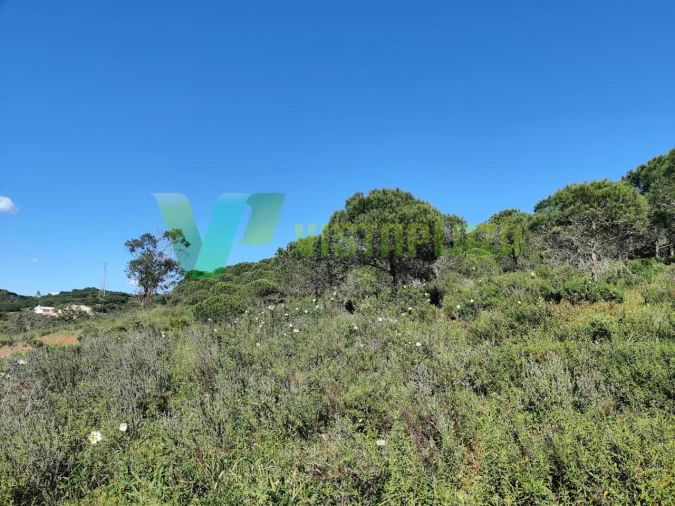 Terreno Agricola ou Rústico para Venda em Bensafrim e Barão de São João Foto 4
