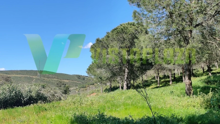 Terreno Agricola ou Rústico para Venda em Bensafrim e Barão de São João