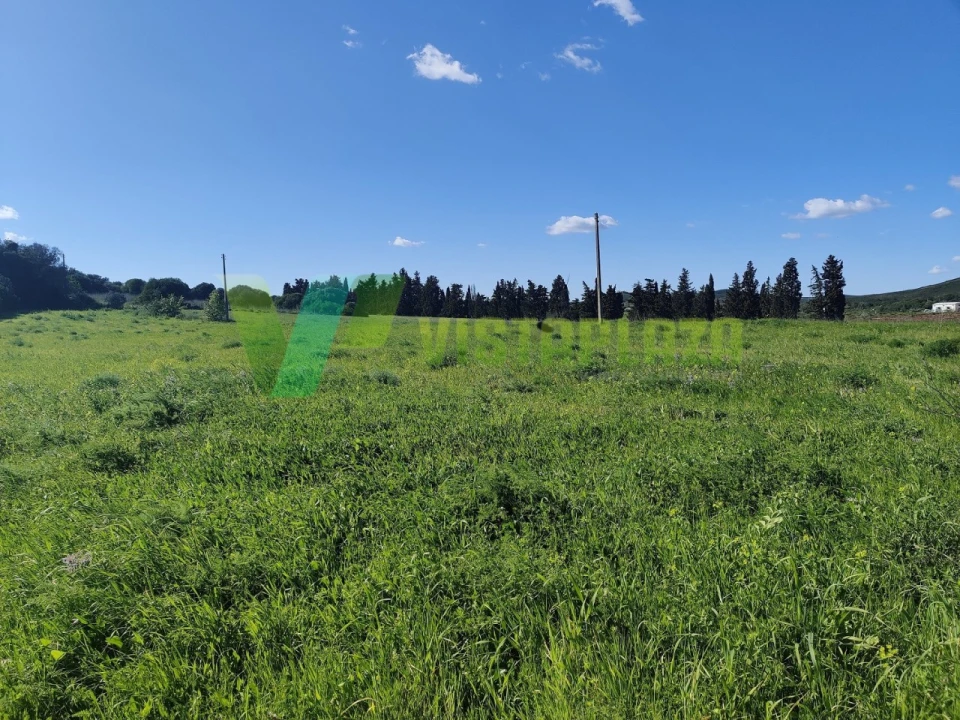 Terreno Agricola ou Rústico para Venda em Bensafrim e Barão de São João Foto 2