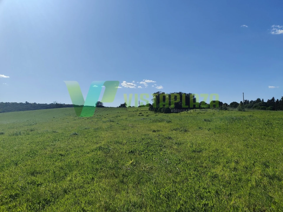 Terreno Agricola ou Rústico para Venda em Bensafrim e Barão de São João Foto 5