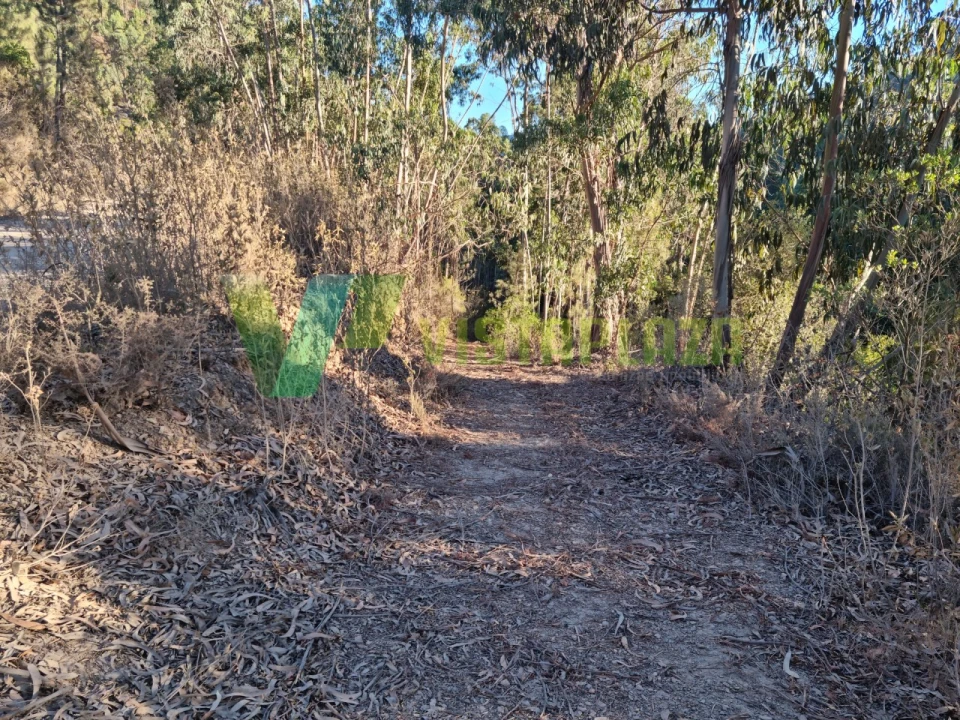 Terreno Agricola ou Rústico para Venda em Marmelete Foto 6
