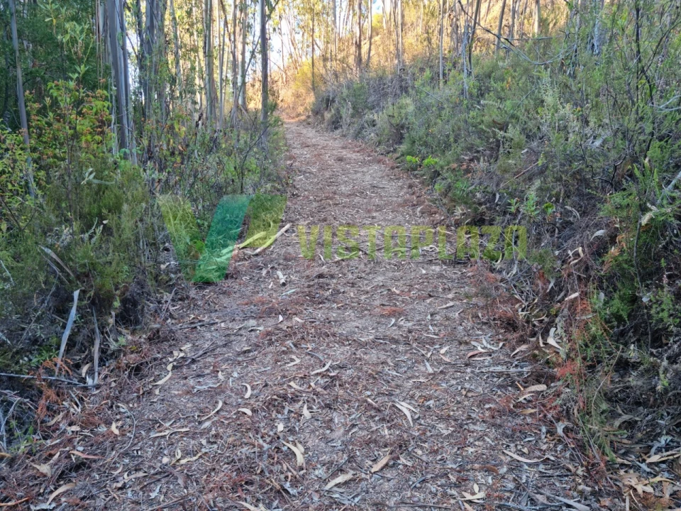 Terreno Agricola ou Rústico para Venda em Marmelete Foto 8