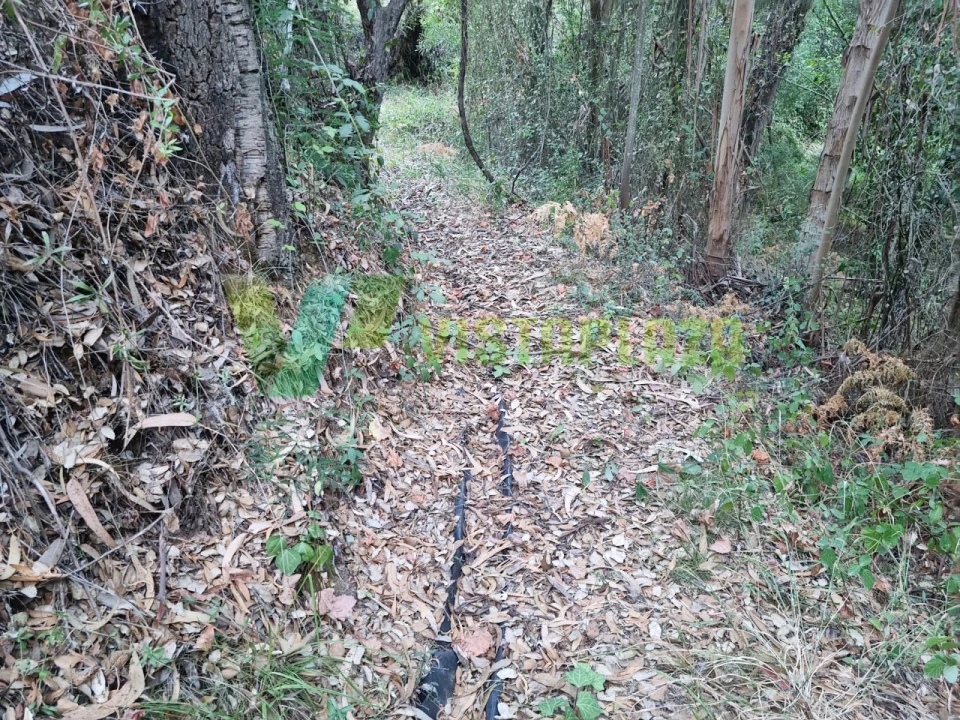 Terreno Agricola ou Rústico para Venda em Marmelete Foto 9