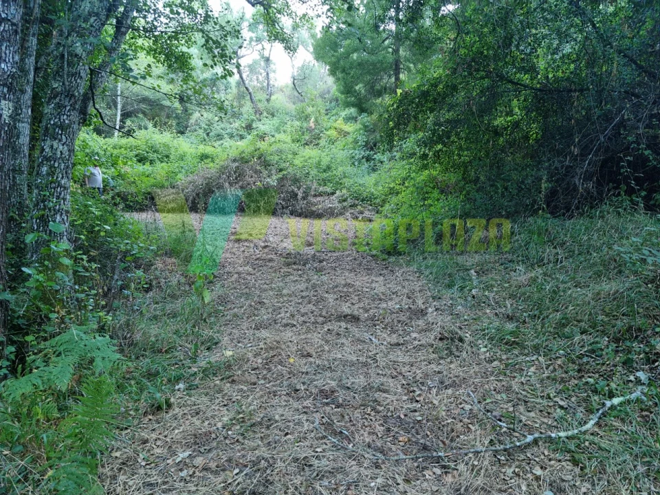 Terreno Agricola ou Rústico para Venda em Marmelete Foto 12