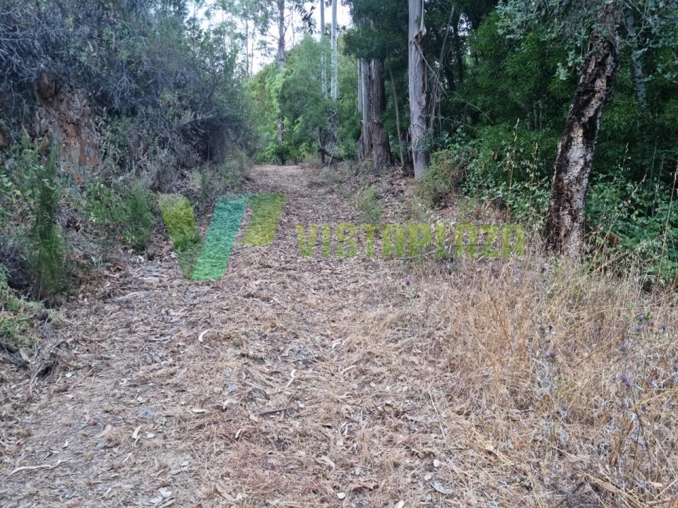 Terreno Agricola ou Rústico para Venda em Marmelete Foto 17