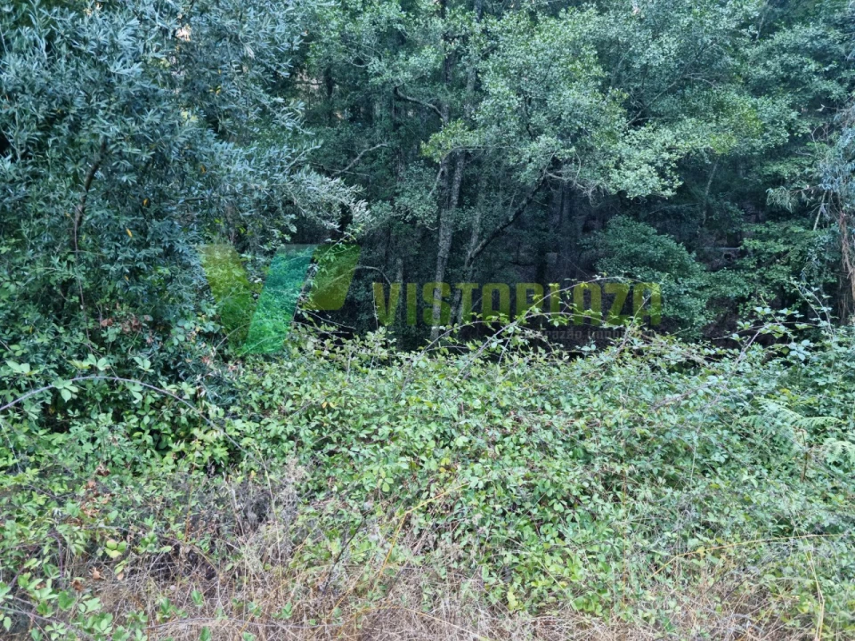 Terreno Agricola ou Rústico para Venda em Marmelete Foto 19