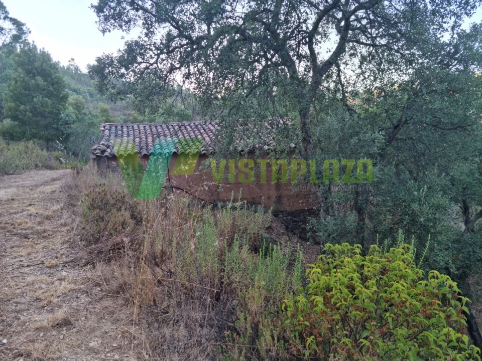 Terreno Agricola ou Rústico para Venda em Marmelete Foto 3
