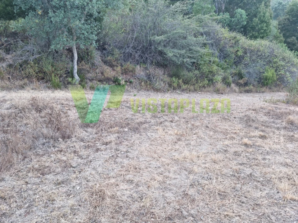 Terreno Agricola ou Rústico para Venda em Marmelete Foto 22