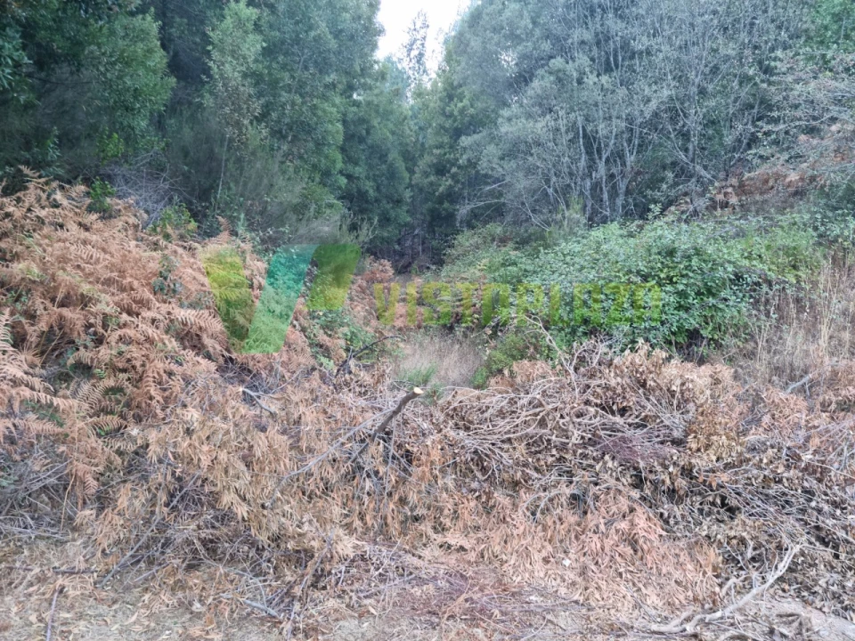 Terreno Agricola ou Rústico para Venda em Marmelete Foto 23