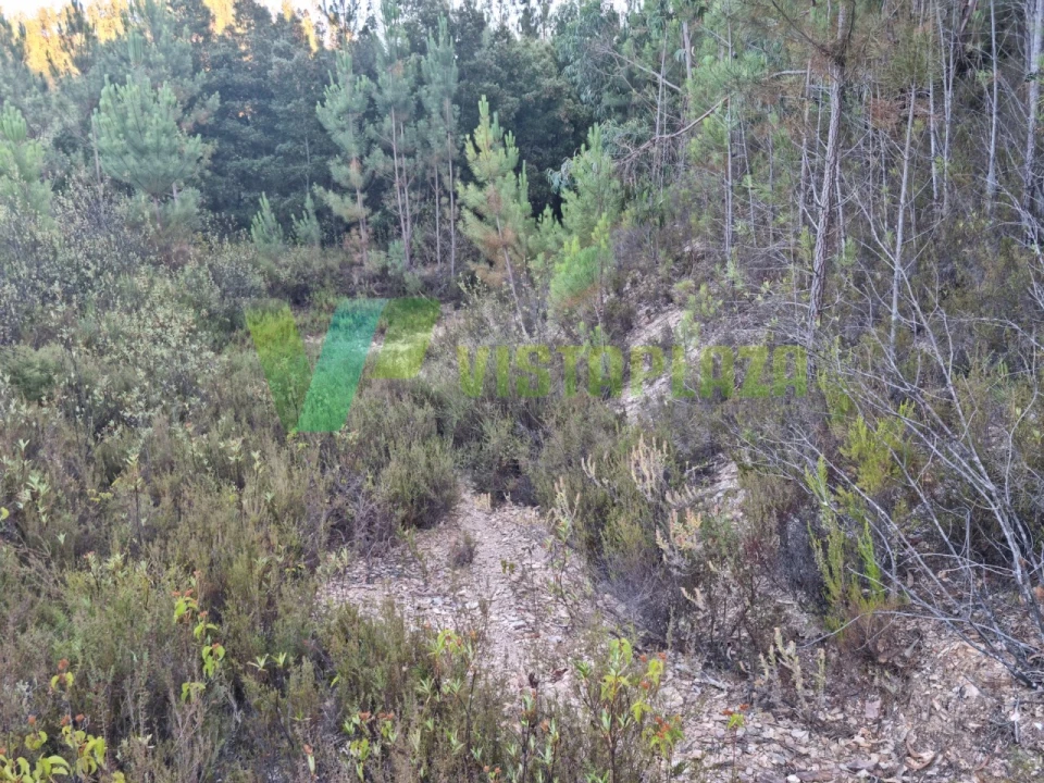 Terreno Agricola ou Rústico para Venda em Marmelete Foto 25